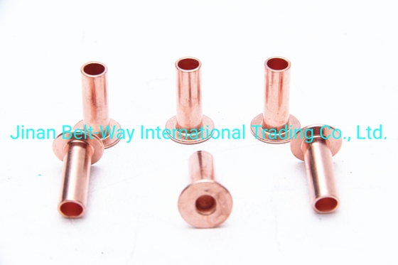 Sinotruk HOWO Parti per camion Rivetta di rivestimento dei freni Wg9231340068 Standard e durevole 10*22mm