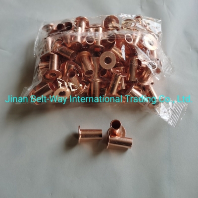 Sinotruk HOWO Parti per camion Rivetta di rivestimento dei freni Wg9231340068 Standard e durevole 10*22mm