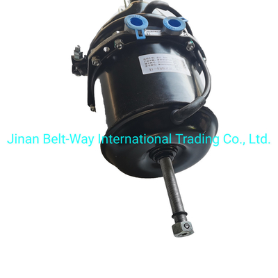 Sinotruk HOWO Parti di autoveicoli Camera dei freni Wg9000360601 Batteria per sistema elettrico