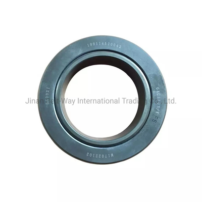 Componente originale Shacman Sinotruk per camion pesanti con cuscinetto per l'albero di bilanciamento della batteria 199114520042