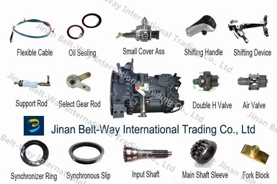 Shacman Delong Aolong F3000 Balance Shaft Housing Dz91259520038 per il modello di motore Wp10/Wp12