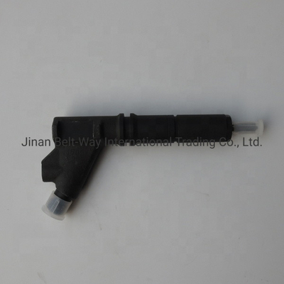 Vg1246080036GaranziaT1 anni Sinotruk HOWO 70 Motore iniettore di carburante per T1 e OEM