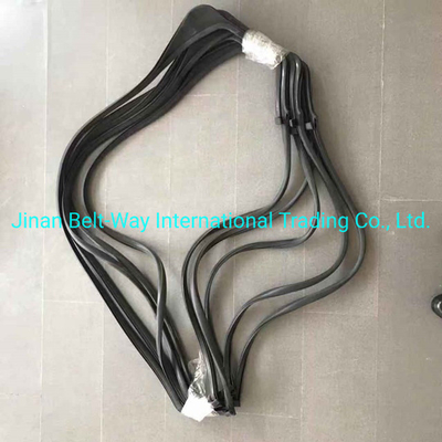 Sinotruk HOWO Camion L Sigillatura di vetro Wg1642350001 Wg1642350002s per sistema di trasmissione