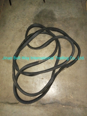 Sinotruk HOWO Parts Truck Windshield Sealing Rubber Wg1642710002 Standard Competitive