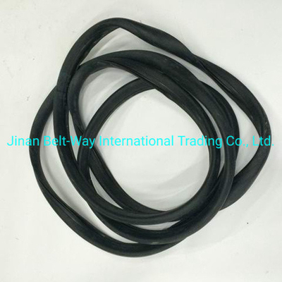 Sinotruk HOWO Parts Truck Windshield Sealing Rubber Wg1642710002 Standard Competitive