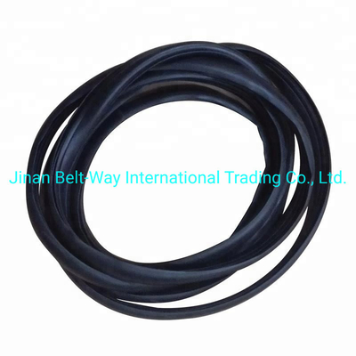 Sinotruk HOWO Parts Truck Windshield Sealing Rubber Wg1642710002 Standard Competitive