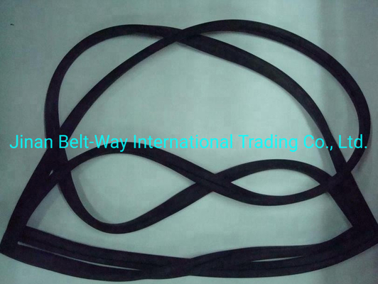 Sinotruk HOWO Parts Truck Windshield Sealing Rubber Wg1642710002 Standard Competitive