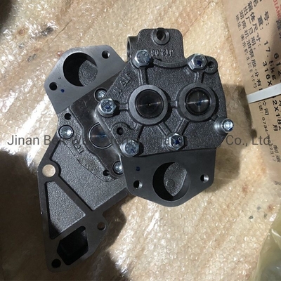 Sinotruk HOWO Deutz pompa di olio per trattori Az1500070021A Protetto da Made-in.com rimborso