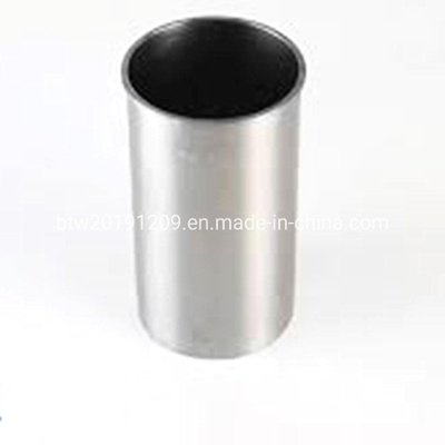 Motore diesel Sinotruk Wd615 cilindro Vg1540010006 con pagamento di sostegno in USD