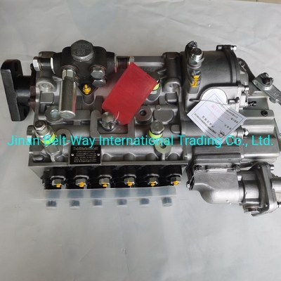 Sinotruk HOWO Truck Parts Fuel Injection Pump Vg1560080021 con supporto di pagamento in USD