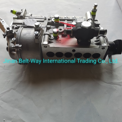 Sinotruk HOWO Truck Parts Fuel Injection Pump Vg1560080021 con supporto di pagamento in USD