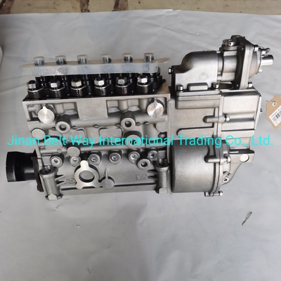 Sinotruk HOWO Truck Parts Fuel Injection Pump Vg1560080021 con supporto di pagamento in USD