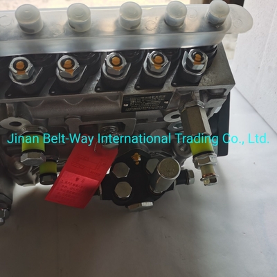 Sinotruk HOWO Truck Parts Fuel Injection Pump Vg1560080021 con supporto di pagamento in USD