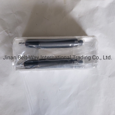 Sinotruk HOWO Truck Parts Fuel Injector Vg1560080276 per il sistema di guida dell'asse anteriore