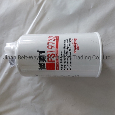 Sinotruk HOWO Parts Truck Fuel-Water Separator Filter Fs19732 per il mercato dell'Asia meridionale