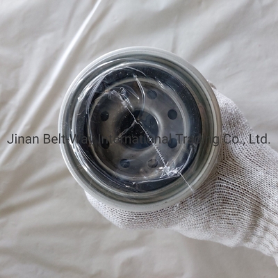 Sinotruk HOWO Parts Truck Fuel-Water Separator Filter Fs19732 per il mercato dell'Asia meridionale