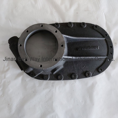 Sinotruk HOWO Ricambi autocarri Ricambi autocarri Casella ponte Copertura 990143201124 Standard