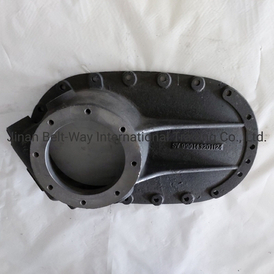 Sinotruk HOWO Ricambi autocarri Ricambi autocarri Casella ponte Copertura 990143201124 Standard