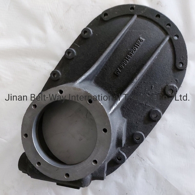 Sinotruk HOWO Ricambi autocarri Ricambi autocarri Casella ponte Copertura 990143201124 Standard