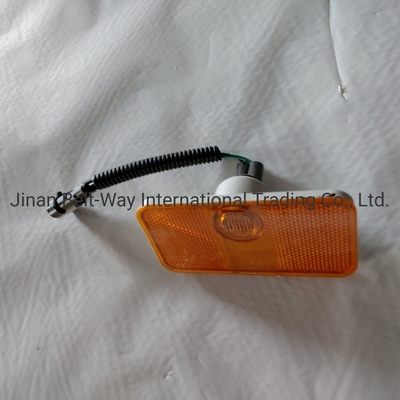 Sinotruk HOWO Parts Truck Side-Marker Lamp Wg9100720012/2 Ottima funzionalità