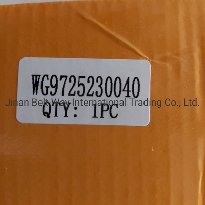 Parti del sistema di frenatura Wg9725230040 cilindro di accelerazione della frizione per camion Sinotruk HOWO OEM