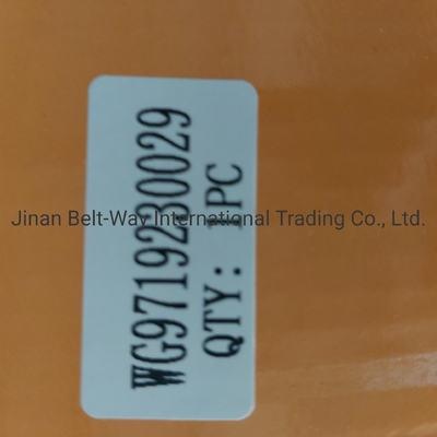 Sinotruk HOWO Truck Parts Clutch Booster Cylinder Wg9719230029 Perfetto per il tuo camion