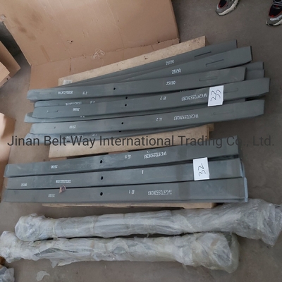 Sinotruk HOWO Ricambi per autocarri stagno a foglia Wg9725520283 con tecnologia avanzata