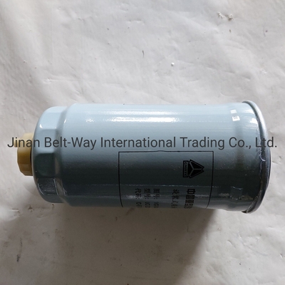 Sinotruk HOWO Ricambi per autocarri Ricambi per autocarri Filtri del carburante Vg14080740A con colore nero