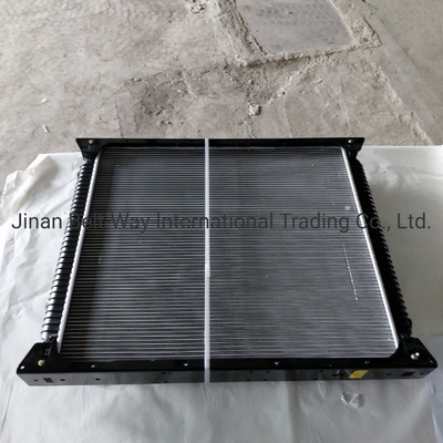 Sinotruk HOWO Parts Truck Radiator Wg9719530270 Wg9725530011 Contatto per i costi di spedizione