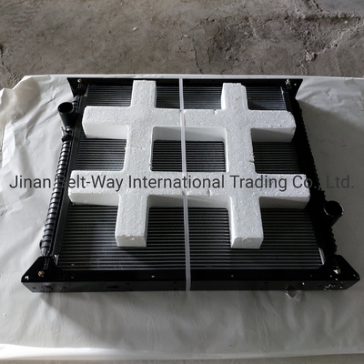 Sinotruk HOWO Parts Truck Radiator Wg9719530270 Wg9725530011 Contatto per i costi di spedizione