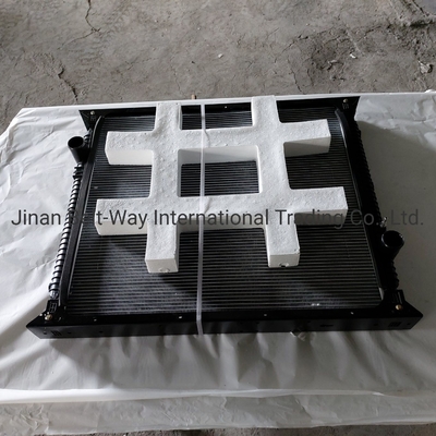 Sinotruk HOWO Parts Truck Radiator Wg9719530270 Wg9725530011 Contatto per i costi di spedizione