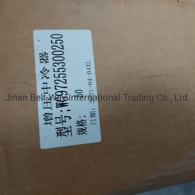 Sinotruk HOWO Ricambi di autocarri Intercooler sovralimentato Wg97255300250 Wg9725530020