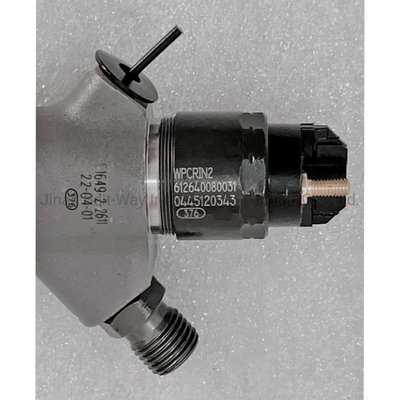 0445120343 Iniettore diesel Common Rail per motore Wp12 di Weichai Power in promozione
