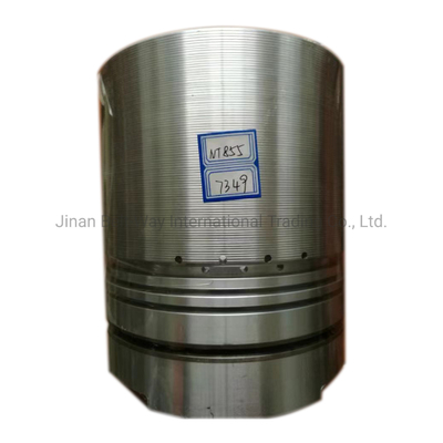 3017349 Motore marino Motore diesel Nt855 Generatore Ricambi Pistola con supporto online