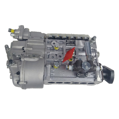 Wp12 380 Parti del motore 612601080397 Pompa di iniezione del carburante Assy per parti del sistema di sterzo