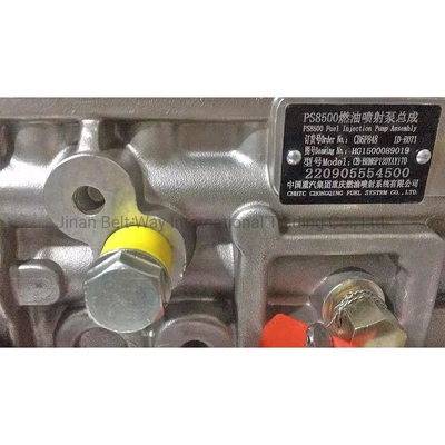 Servizio post-vendita Supporto online Sinotruk HOWO Pompa di iniezione di carburante Hg1500089019