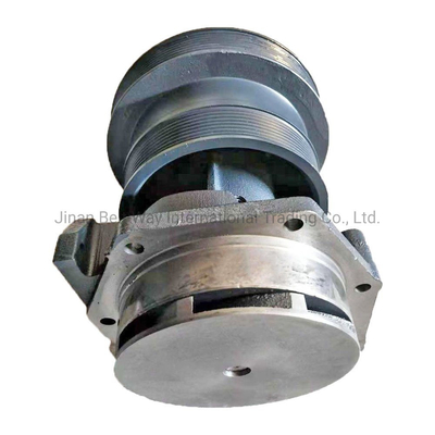 Weichai Power Motore Diesel Pompa d'acqua 612600060389 con ogni pagamento protetto