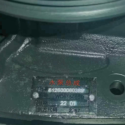 Pompa d'acqua 612600060389 per Sinotruck HOWO Shacman FAW Dongfeng Ricambi originali