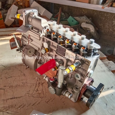 Applicabile per camion HOWO 371/Shacman F3000/F2000/M3000 Pompa per iniettore di carburante motore Vg1560080022
