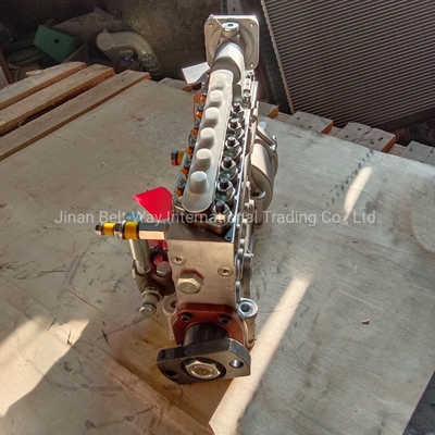 Sinotruk originale Wd615 Motore parti pompa di iniezione Vg1560080022 per Shacman F3000