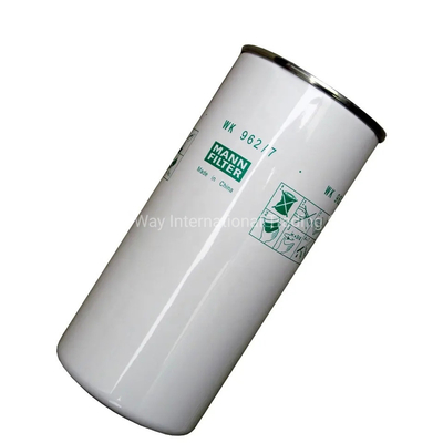 Sinotruk HOWO Camion Motore diesel Filtro del carburante Vg1560080012 con batteria